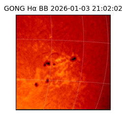 gong - 2026-01-03T21:02:02