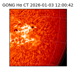 gong - 2026-01-03T12:00:42