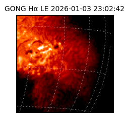 gong - 2026-01-03T23:02:42