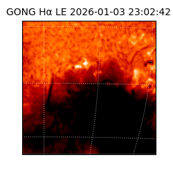 gong - 2026-01-03T23:02:42