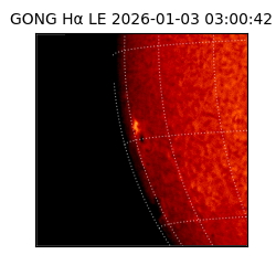gong - 2026-01-03T03:00:42