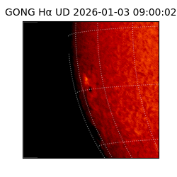 gong - 2026-01-03T09:00:02