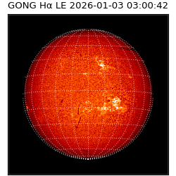gong - 2026-01-03T03:00:42