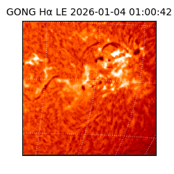gong - 2026-01-04T01:00:42
