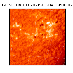 gong - 2026-01-04T09:00:02