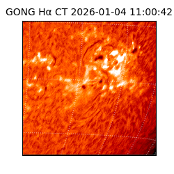 gong - 2026-01-04T11:00:42