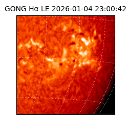 gong - 2026-01-04T23:00:42