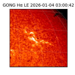 gong - 2026-01-04T03:00:42