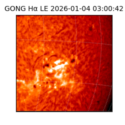 gong - 2026-01-04T03:00:42