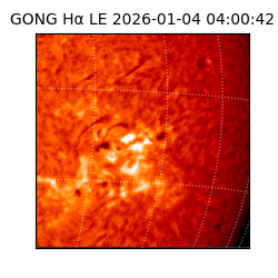 gong - 2026-01-04T04:00:42