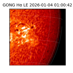 gong - 2026-01-04T01:00:42