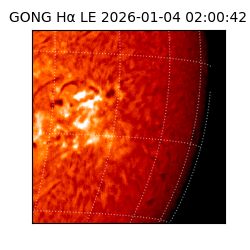 gong - 2026-01-04T02:00:42