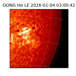 gong - 2026-01-04T03:00:42