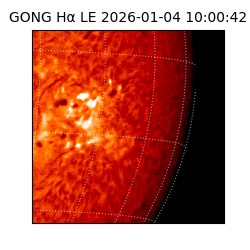 gong - 2026-01-04T10:00:42