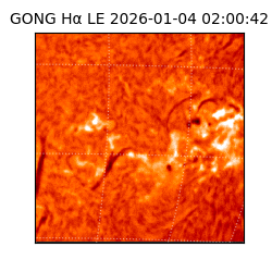 gong - 2026-01-04T02:00:42