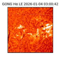 gong - 2026-01-04T03:00:42