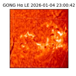 gong - 2026-01-04T23:00:42