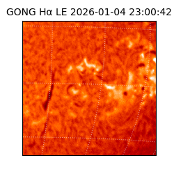 gong - 2026-01-04T23:00:42