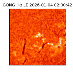gong - 2026-01-04T02:00:42