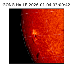 gong - 2026-01-04T03:00:42