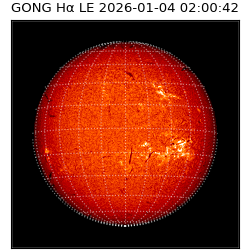 gong - 2026-01-04T02:00:42