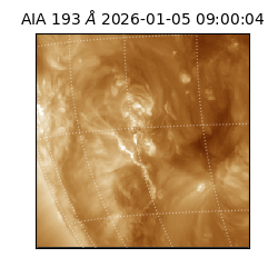 saia - 2026-01-05T09:00:04.843000