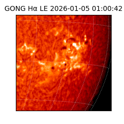 gong - 2026-01-05T01:00:42