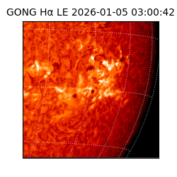 gong - 2026-01-05T03:00:42