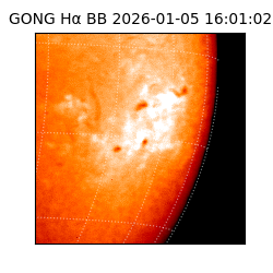 gong - 2026-01-05T16:01:02