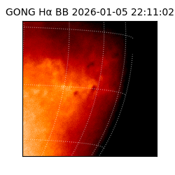 gong - 2026-01-05T22:11:02