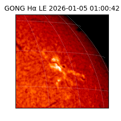 gong - 2026-01-05T01:00:42