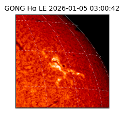 gong - 2026-01-05T03:00:42