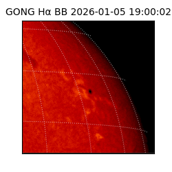 gong - 2026-01-05T19:00:02