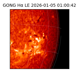 gong - 2026-01-05T01:00:42