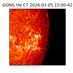 gong - 2026-01-05T15:00:42