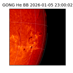 gong - 2026-01-05T23:00:02