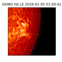 gong - 2026-01-05T01:00:42