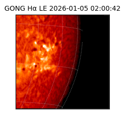 gong - 2026-01-05T02:00:42