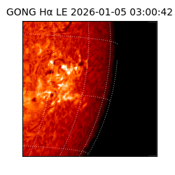 gong - 2026-01-05T03:00:42