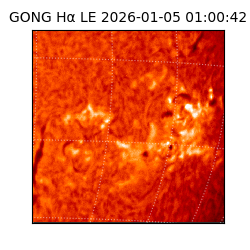 gong - 2026-01-05T01:00:42