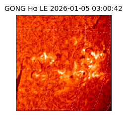 gong - 2026-01-05T03:00:42