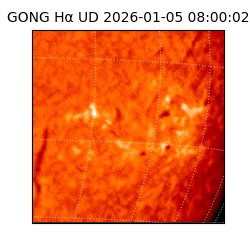gong - 2026-01-05T08:00:02