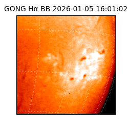 gong - 2026-01-05T16:01:02
