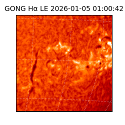 gong - 2026-01-05T01:00:42