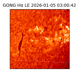 gong - 2026-01-05T03:00:42