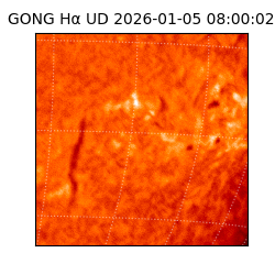 gong - 2026-01-05T08:00:02