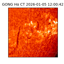 gong - 2026-01-05T12:00:42