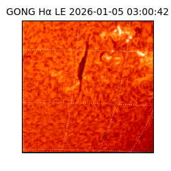 gong - 2026-01-05T03:00:42