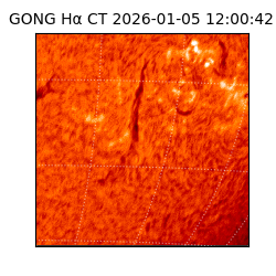 gong - 2026-01-05T12:00:42