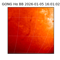 gong - 2026-01-05T16:01:02